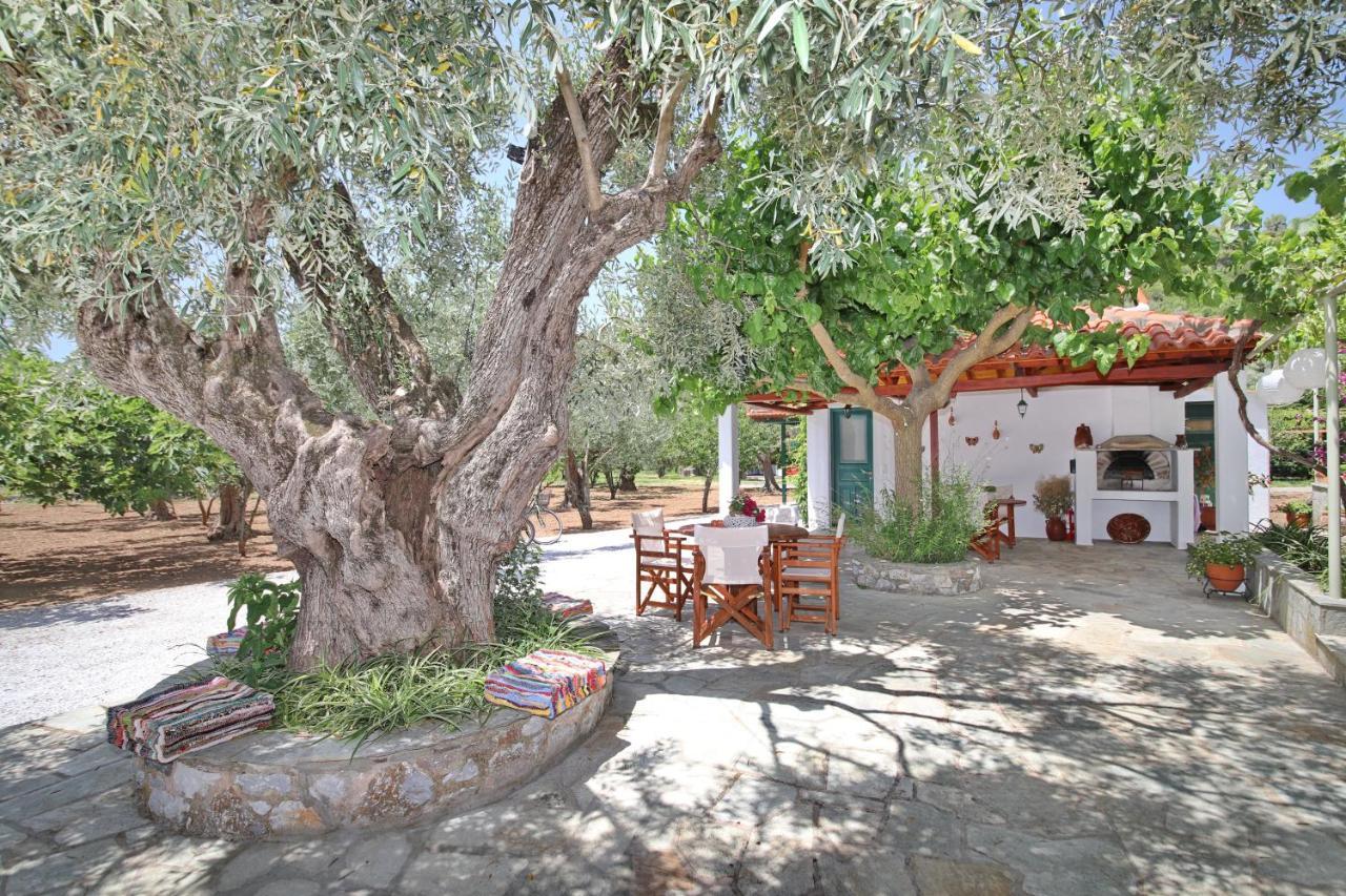 Katerina Daire Panormos  Dış mekan fotoğraf